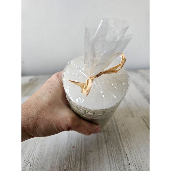 Pier 1 dragonfly candle‎ new spring decor - Picture 7 of 7